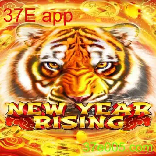 NewYearRising